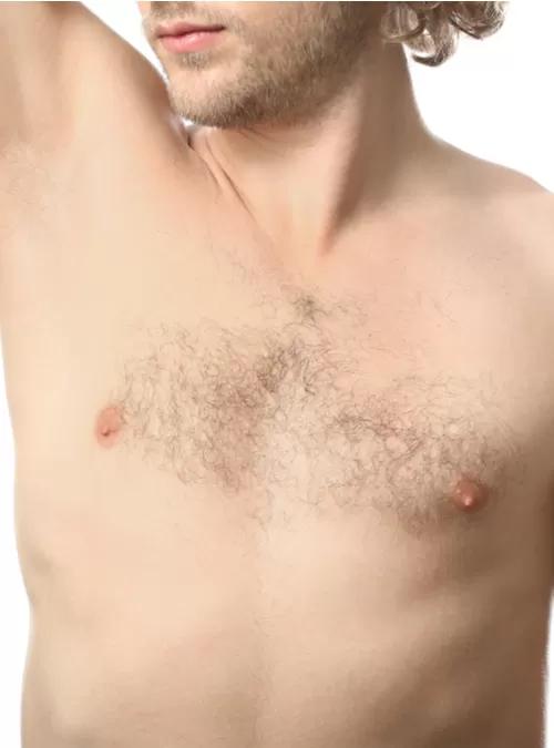 Görsel ALT Başlığı