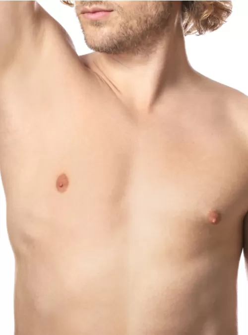 Görsel ALT Başlığı