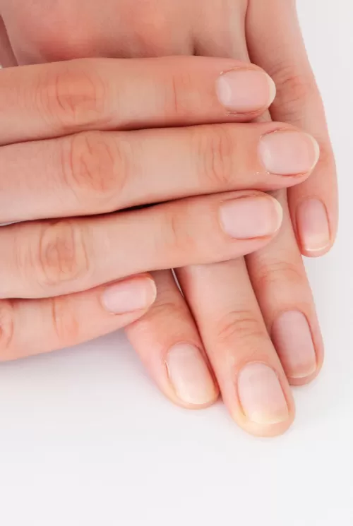 Görsel ALT Başlığı