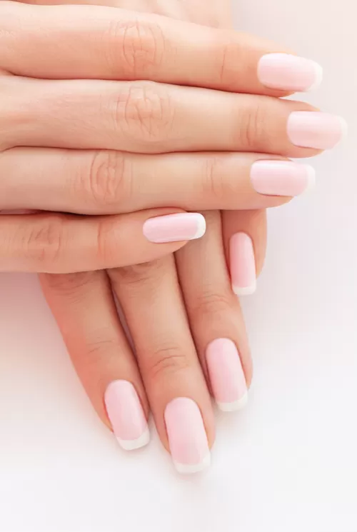 Görsel ALT Başlığı