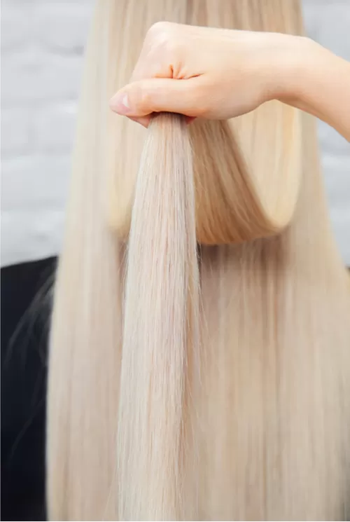 Görsel ALT Başlığı