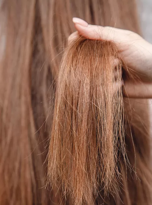 Sac Tasarim Oncesi 1