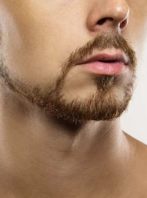 Görsel ALT Başlığı