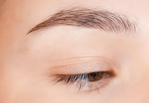 Görsel ALT Başlığı