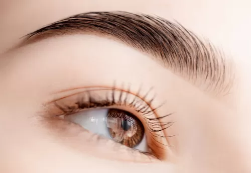 Görsel ALT Başlığı